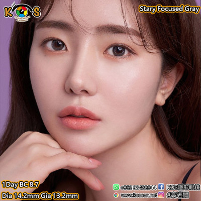 [1Day]Stary Focused Gray 스테이 포커스드 크리스틴 그레이